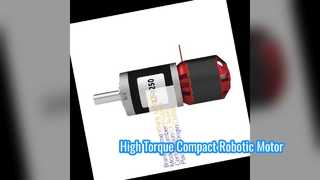 High Torque Brushless DC Planetary Gear Motor for Robotics