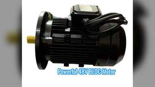 48V DC Brushless Motor 1KW 3000RPM Power