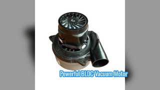 1200W BLDC Blower Motor for Vacuum Cleaners