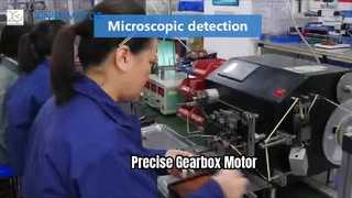 25mm Gearbox Motor Power Solutions